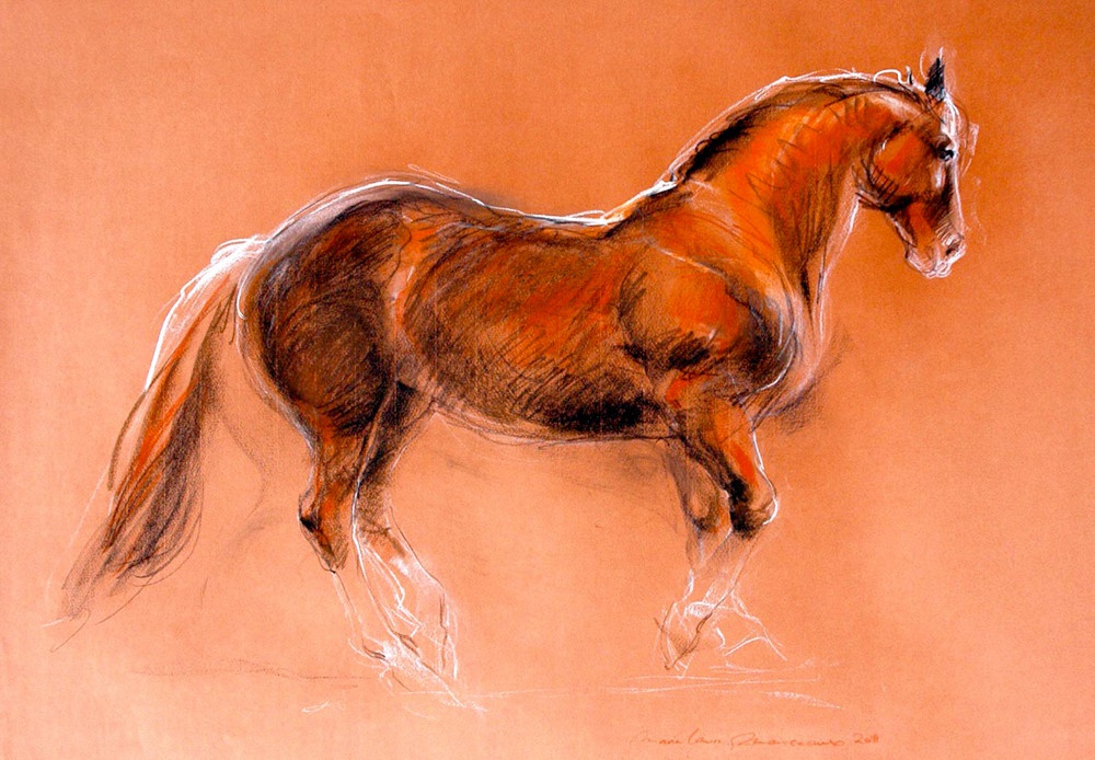 illustration marie laure manceaux cheval 15.jpg - Marie-Laure MANCEAUX | Virginie